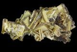 Sandwich Wulfenite Crystal Cluster - Ojuela Mine, Mexico #103488-1